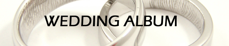 wedding album banner